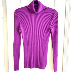 Express Turtleneck Top Size Large